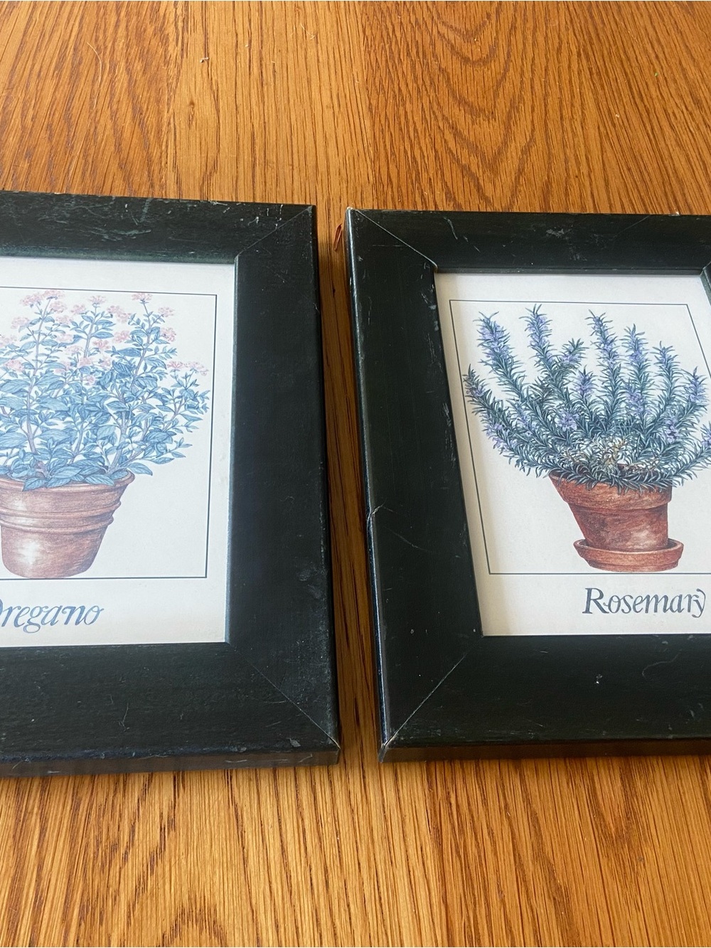 2 Vintage Framed Botanical Spice Prints. 7 in x 9 in